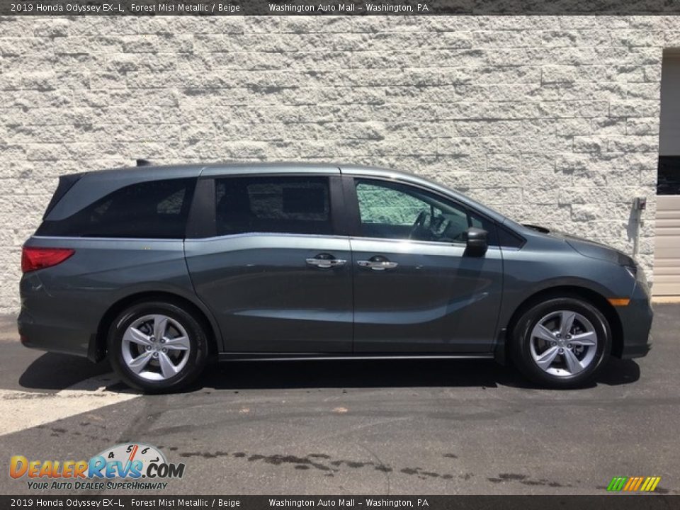 2019 Honda Odyssey EX-L Forest Mist Metallic / Beige Photo #3