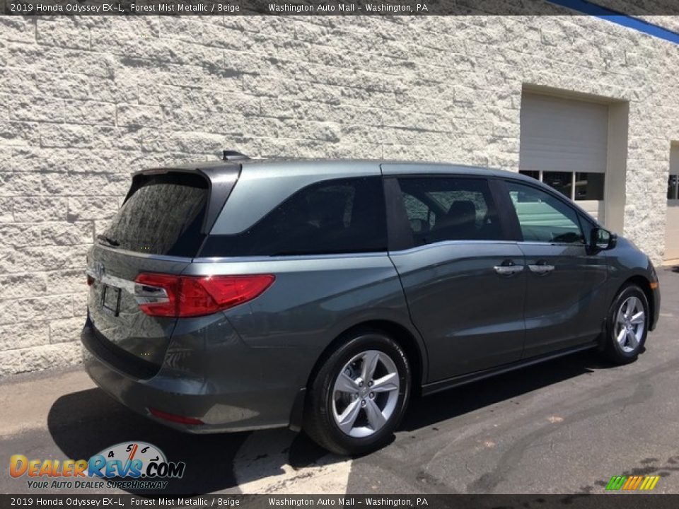2019 Honda Odyssey EX-L Forest Mist Metallic / Beige Photo #4