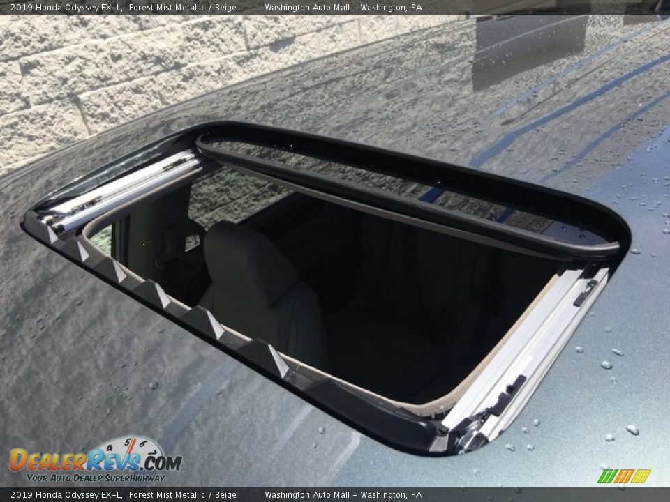 2019 Honda Odyssey EX-L Forest Mist Metallic / Beige Photo #9