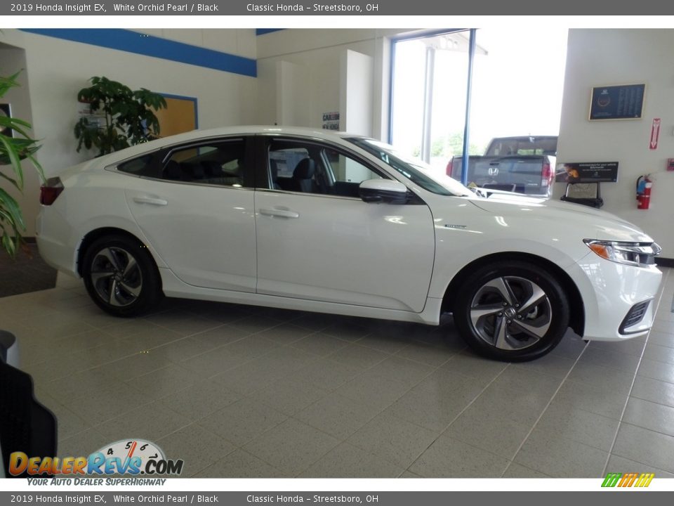 2019 Honda Insight EX White Orchid Pearl / Black Photo #4
