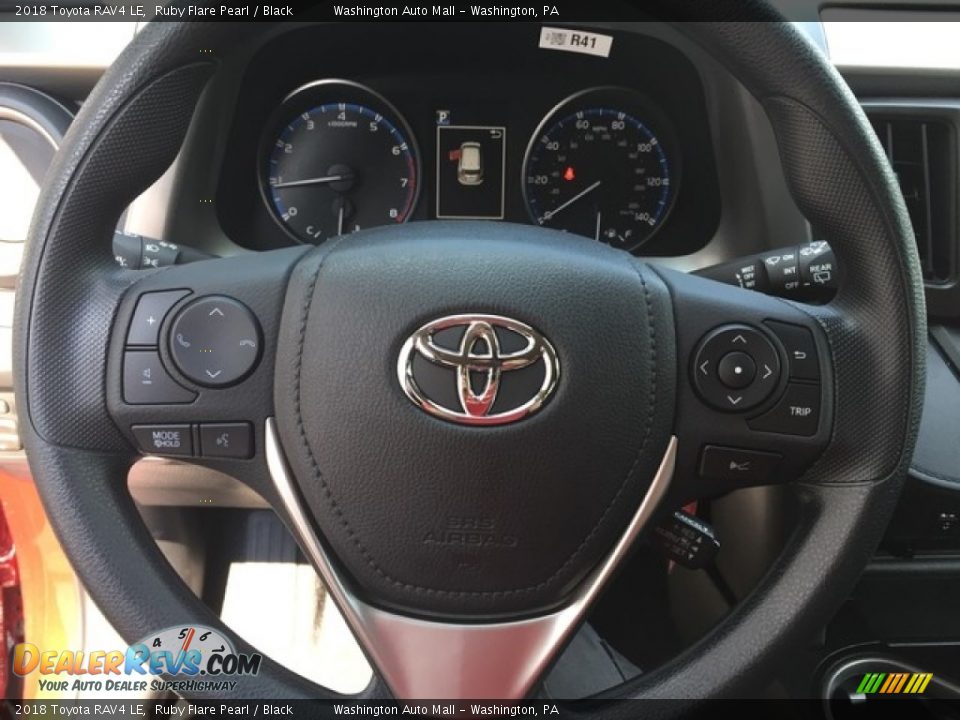 2018 Toyota RAV4 LE Ruby Flare Pearl / Black Photo #15