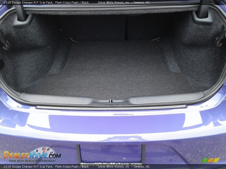 2018 Dodge Charger R/T Scat Pack Plum Crazy Pearl / Black Photo #12