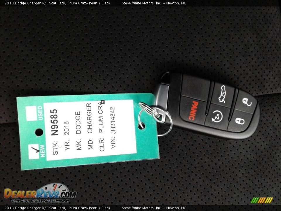 2018 Dodge Charger R/T Scat Pack Plum Crazy Pearl / Black Photo #29