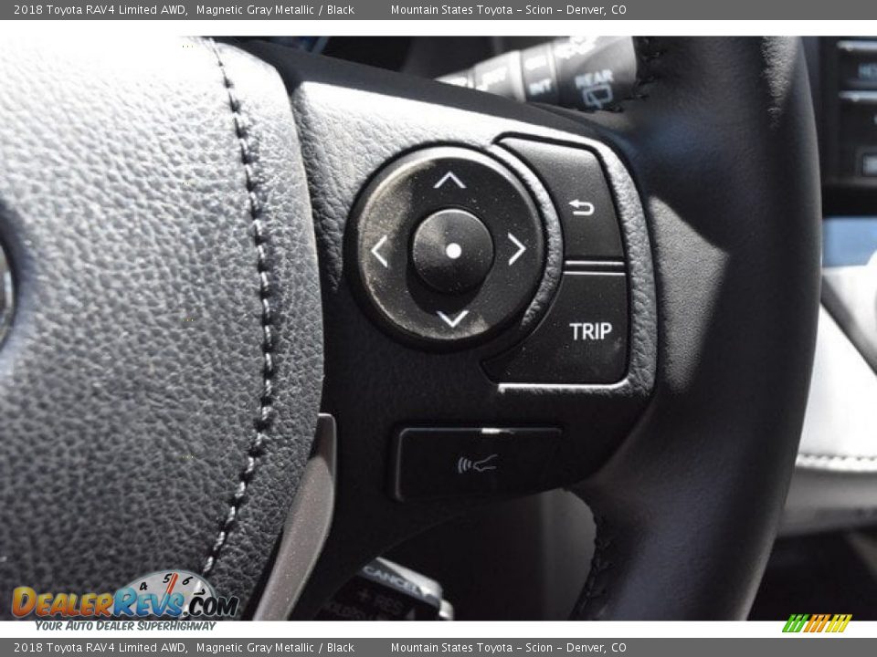 2018 Toyota RAV4 Limited AWD Magnetic Gray Metallic / Black Photo #29