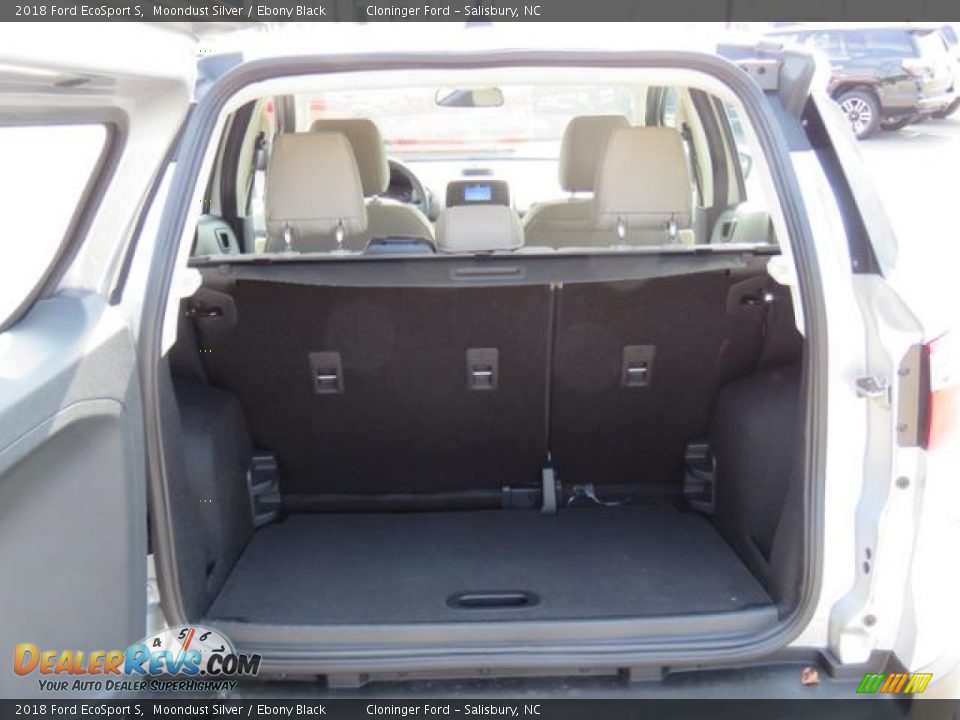 2018 Ford EcoSport S Moondust Silver / Ebony Black Photo #19