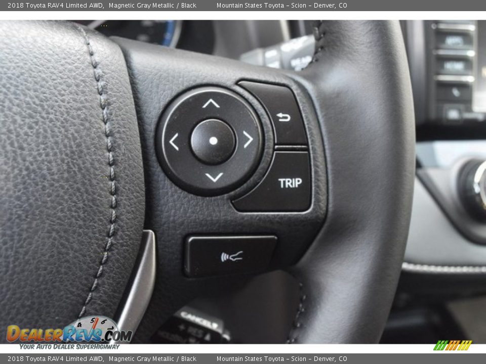 2018 Toyota RAV4 Limited AWD Magnetic Gray Metallic / Black Photo #29