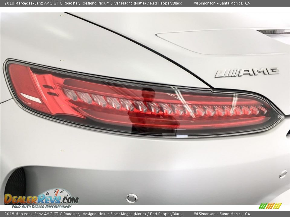 2018 Mercedes-Benz AMG GT C Roadster designo Iridium Silver Magno (Matte) / Red Pepper/Black Photo #25