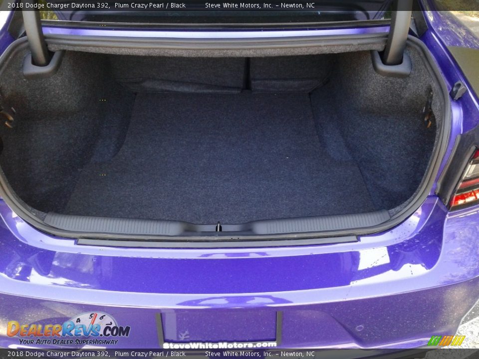 2018 Dodge Charger Daytona 392 Plum Crazy Pearl / Black Photo #12