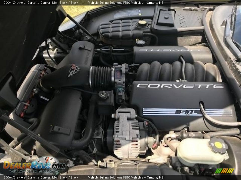 2004 Chevrolet Corvette Convertible Black / Black Photo #5