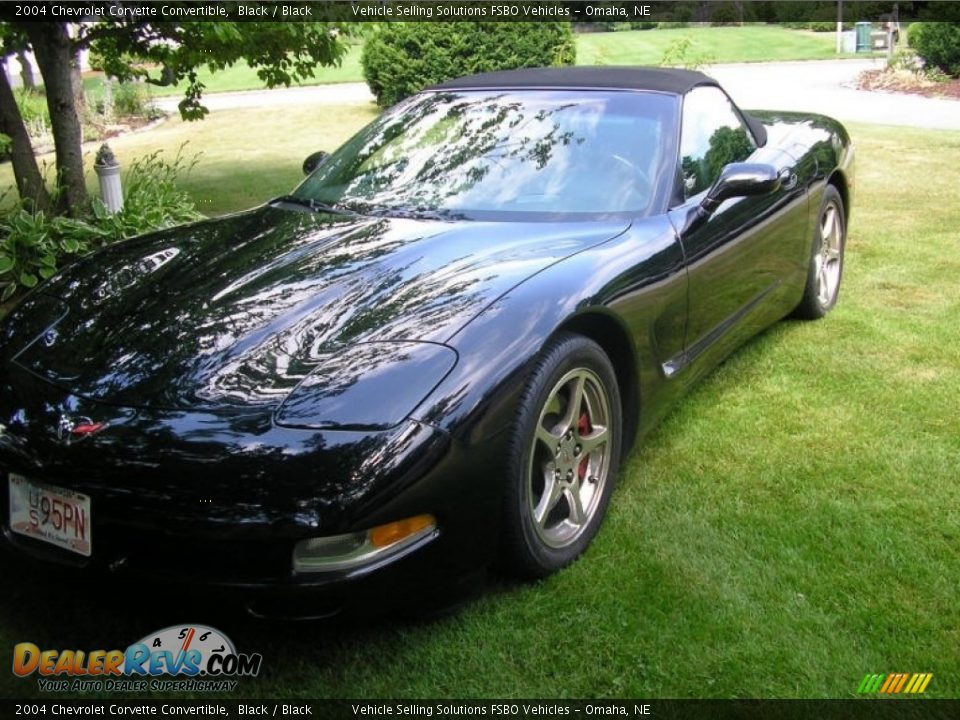 2004 Chevrolet Corvette Convertible Black / Black Photo #11
