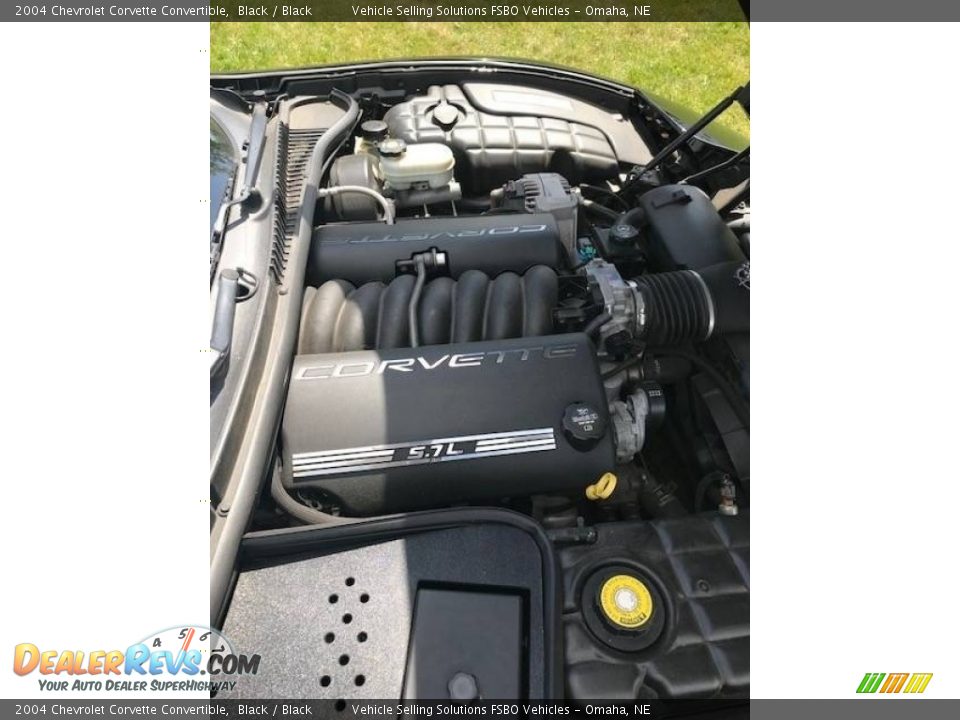 2004 Chevrolet Corvette Convertible Black / Black Photo #19