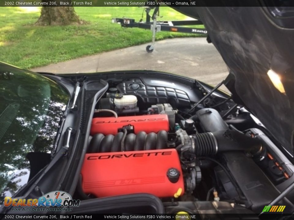 2002 Chevrolet Corvette Z06 Black / Torch Red Photo #5