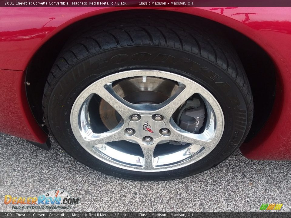2001 Chevrolet Corvette Convertible Magnetic Red II Metallic / Black Photo #24