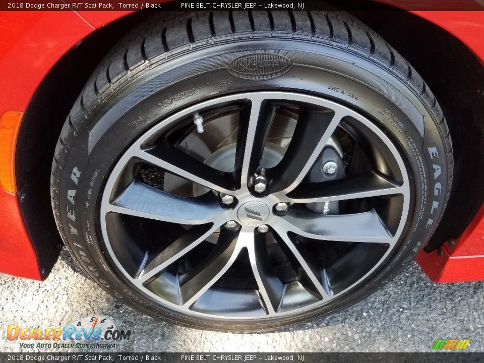 2018 Dodge Charger R/T Scat Pack Torred / Black Photo #23