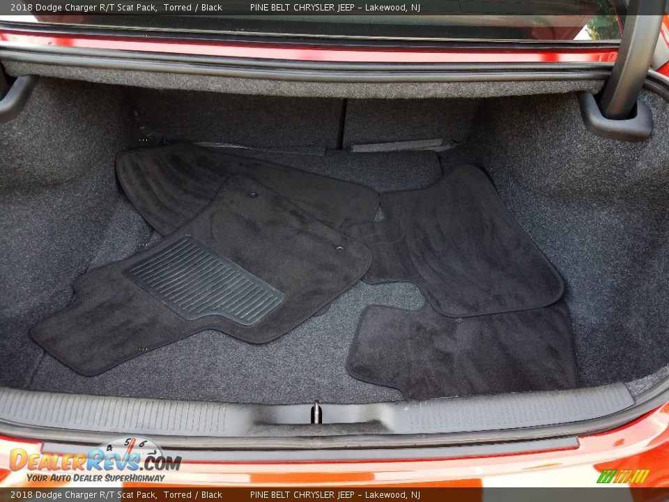 2018 Dodge Charger R/T Scat Pack Torred / Black Photo #33
