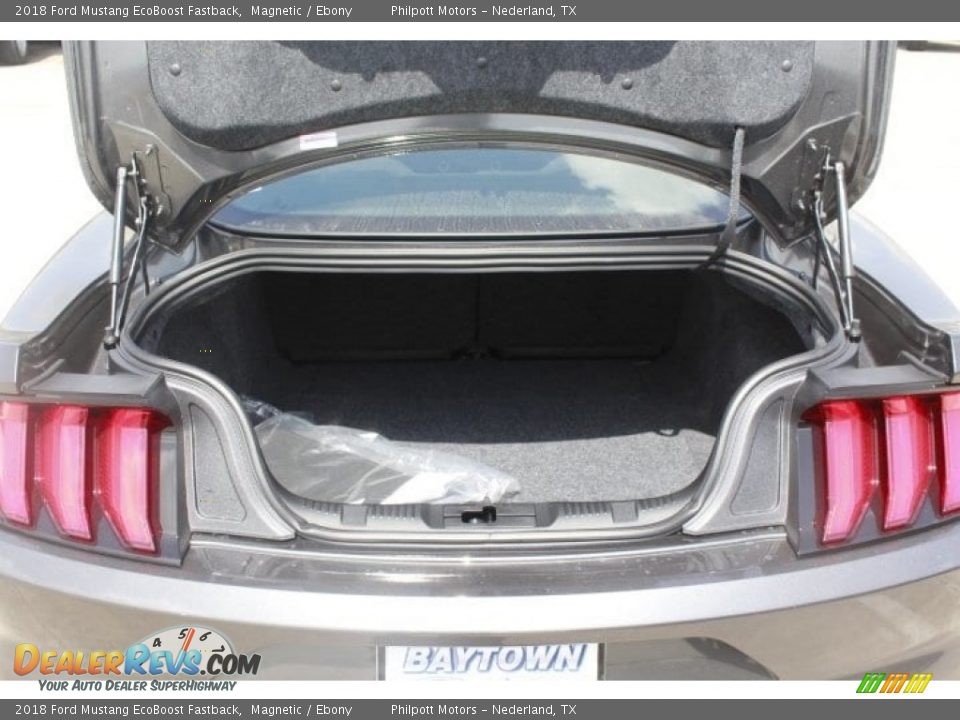 2018 Ford Mustang EcoBoost Fastback Magnetic / Ebony Photo #25