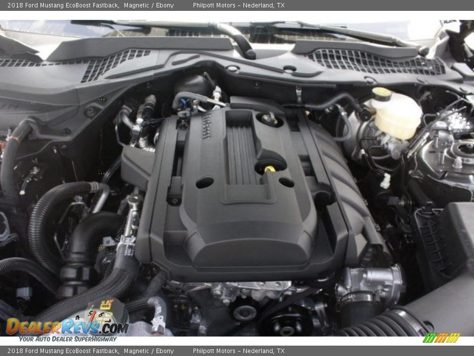 2018 Ford Mustang EcoBoost Fastback Magnetic / Ebony Photo #30