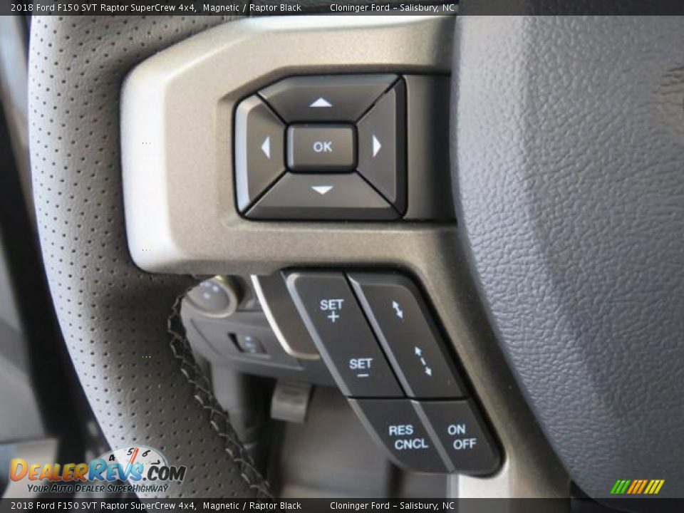2018 Ford F150 SVT Raptor SuperCrew 4x4 Magnetic / Raptor Black Photo #17