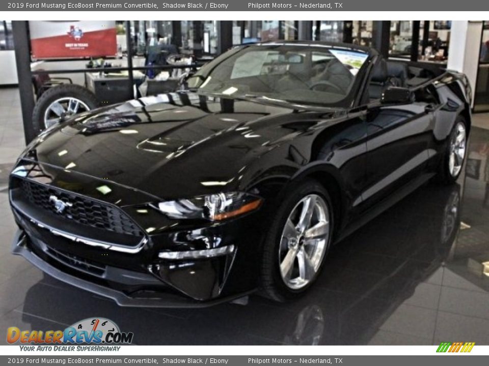 2019 Ford Mustang EcoBoost Premium Convertible Shadow Black / Ebony Photo #3