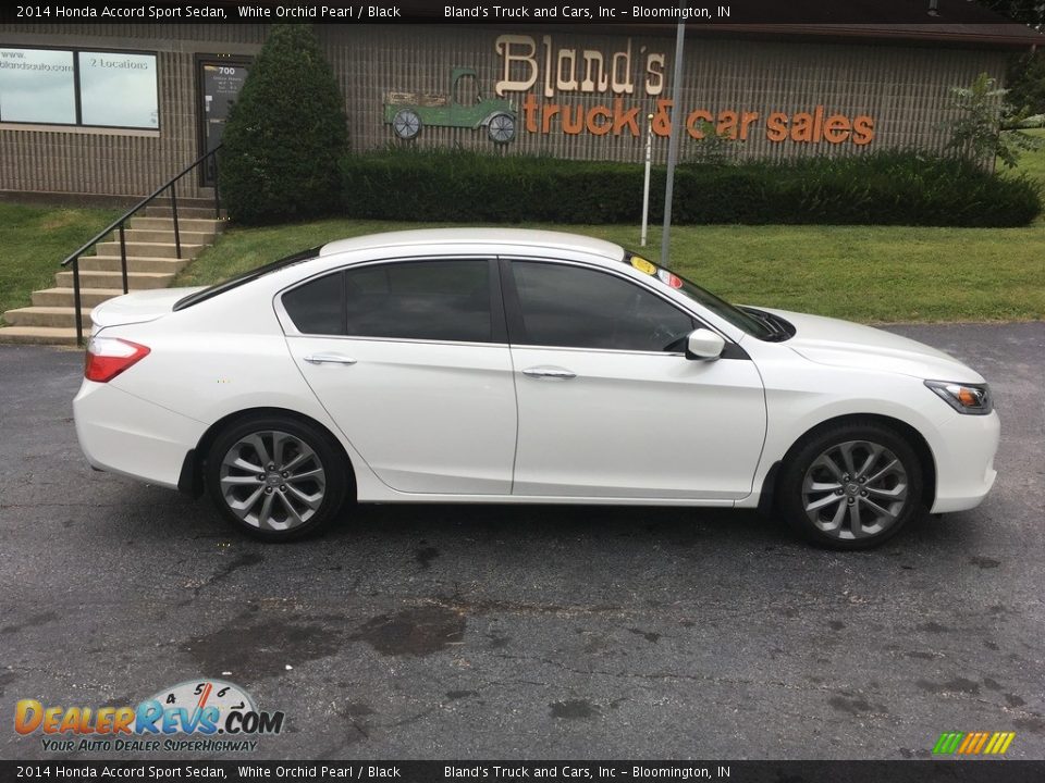 2014 Honda Accord Sport Sedan White Orchid Pearl / Black Photo #3