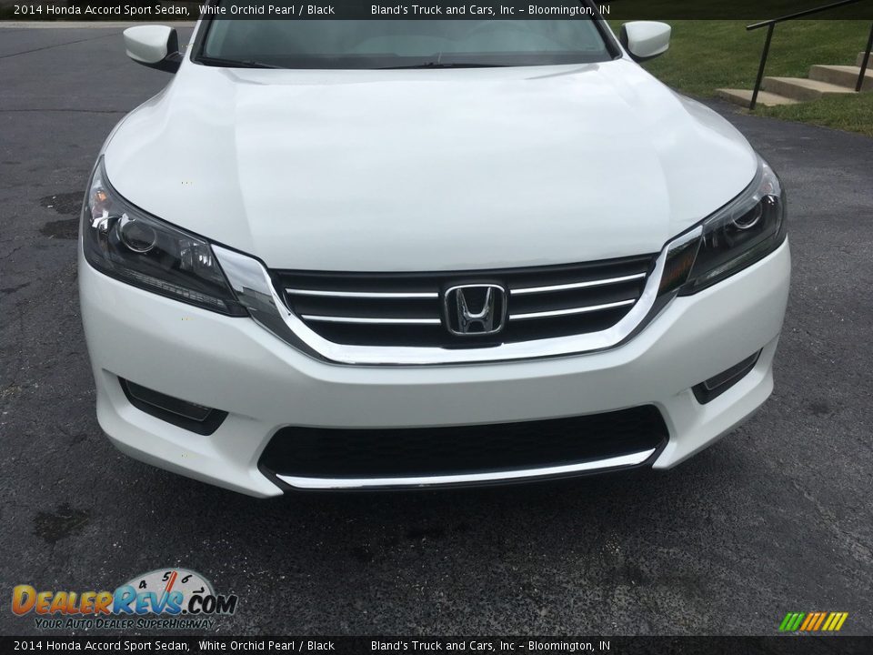 2014 Honda Accord Sport Sedan White Orchid Pearl / Black Photo #5