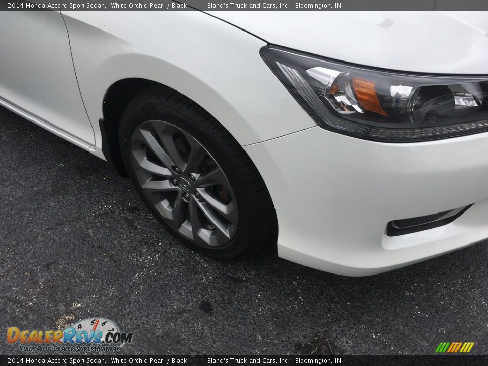 2014 Honda Accord Sport Sedan White Orchid Pearl / Black Photo #6