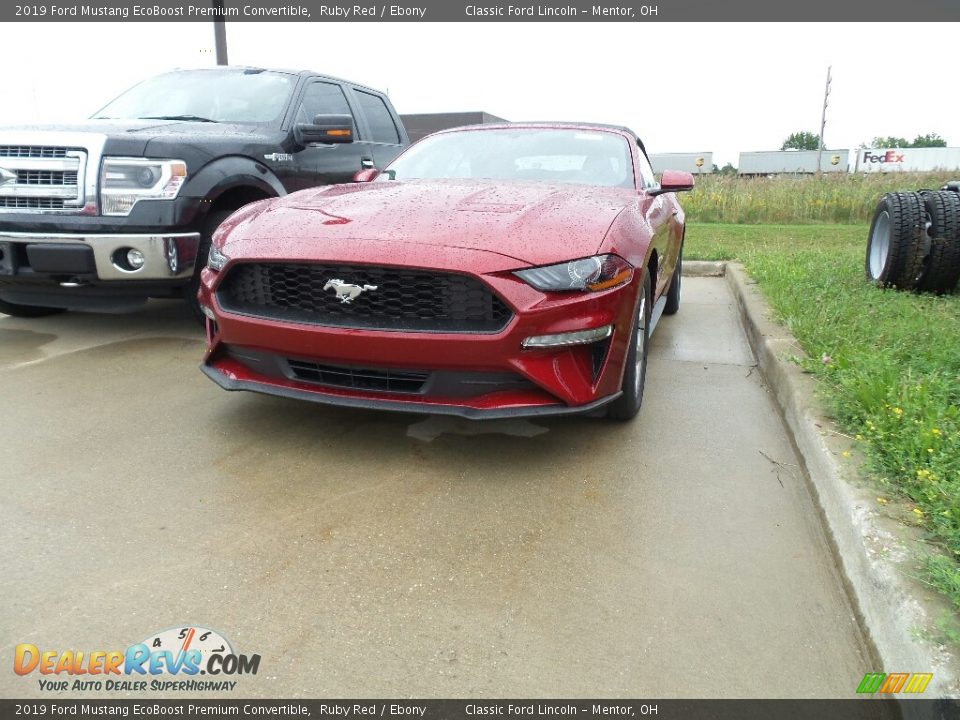2019 Ford Mustang EcoBoost Premium Convertible Ruby Red / Ebony Photo #1