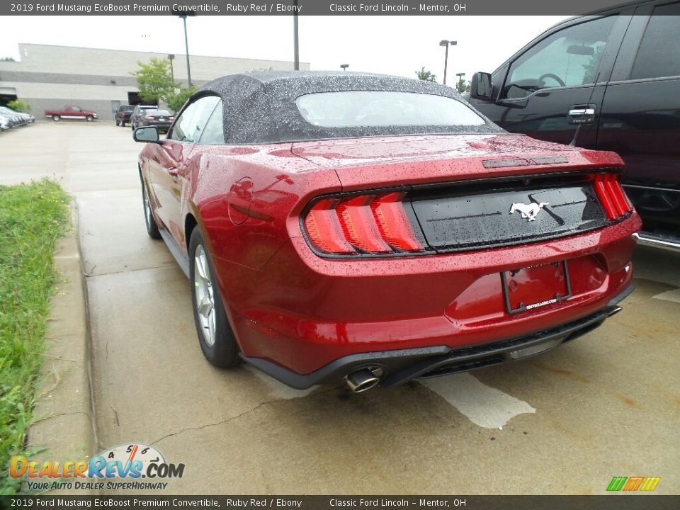 2019 Ford Mustang EcoBoost Premium Convertible Ruby Red / Ebony Photo #3