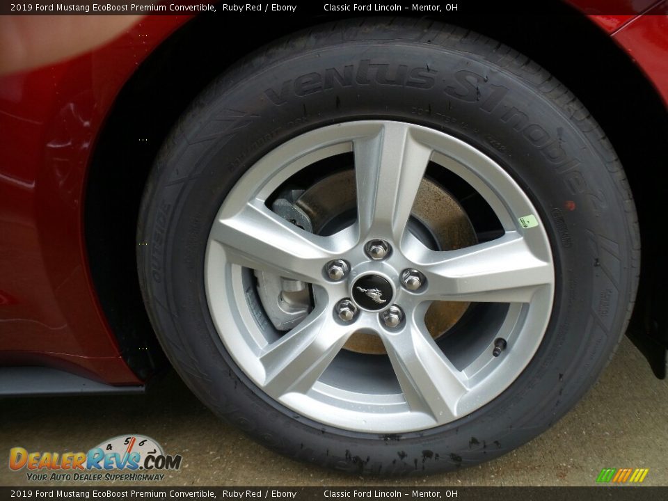 2019 Ford Mustang EcoBoost Premium Convertible Ruby Red / Ebony Photo #4