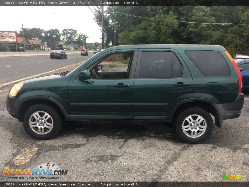 2003 Honda CR-V EX 4WD Clover Green Pearl / Saddle Photo #3