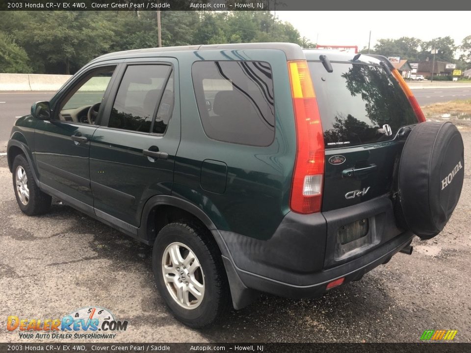 2003 Honda CR-V EX 4WD Clover Green Pearl / Saddle Photo #4