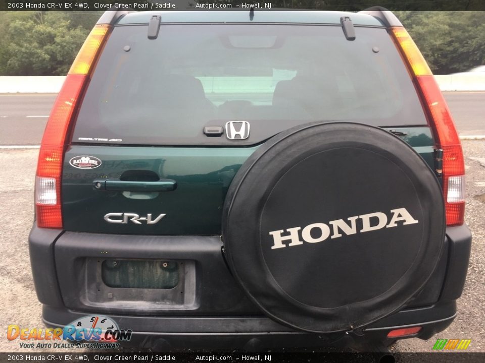 2003 Honda CR-V EX 4WD Clover Green Pearl / Saddle Photo #5