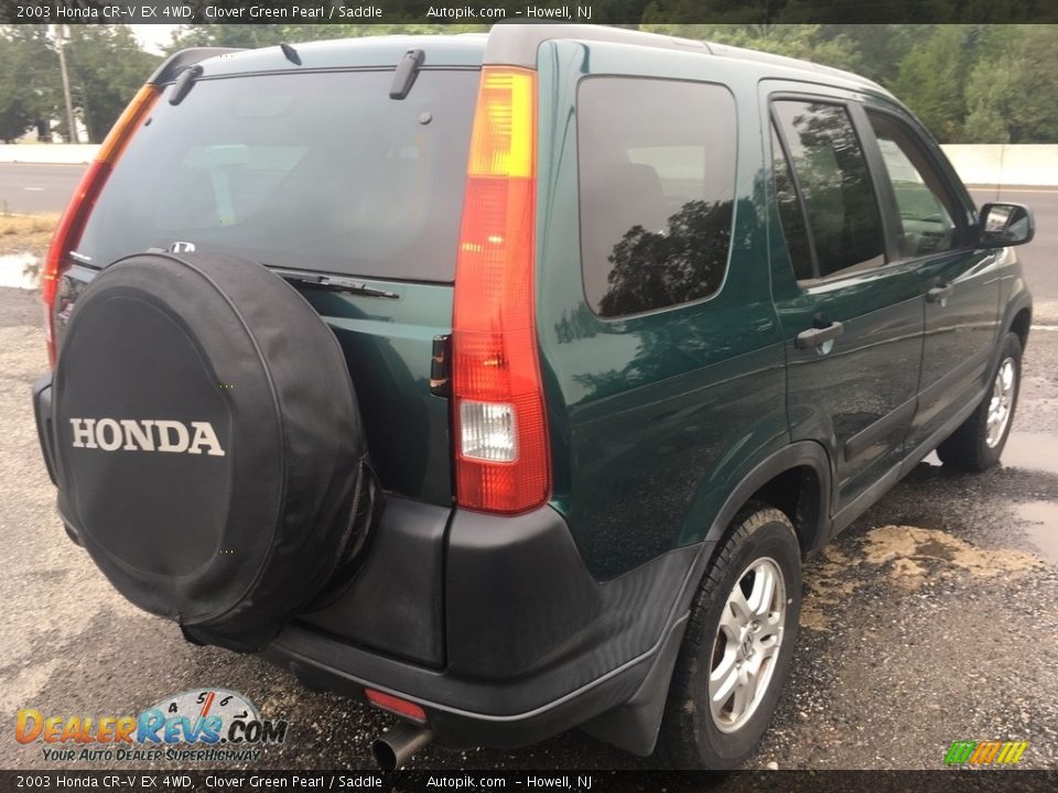 2003 Honda CR-V EX 4WD Clover Green Pearl / Saddle Photo #6