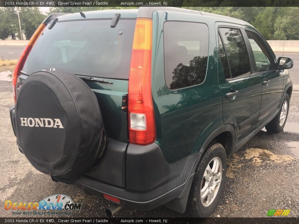 2003 Honda CR-V EX 4WD Clover Green Pearl / Saddle Photo #7