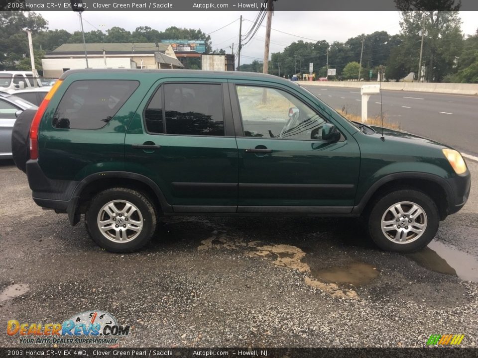 2003 Honda CR-V EX 4WD Clover Green Pearl / Saddle Photo #8