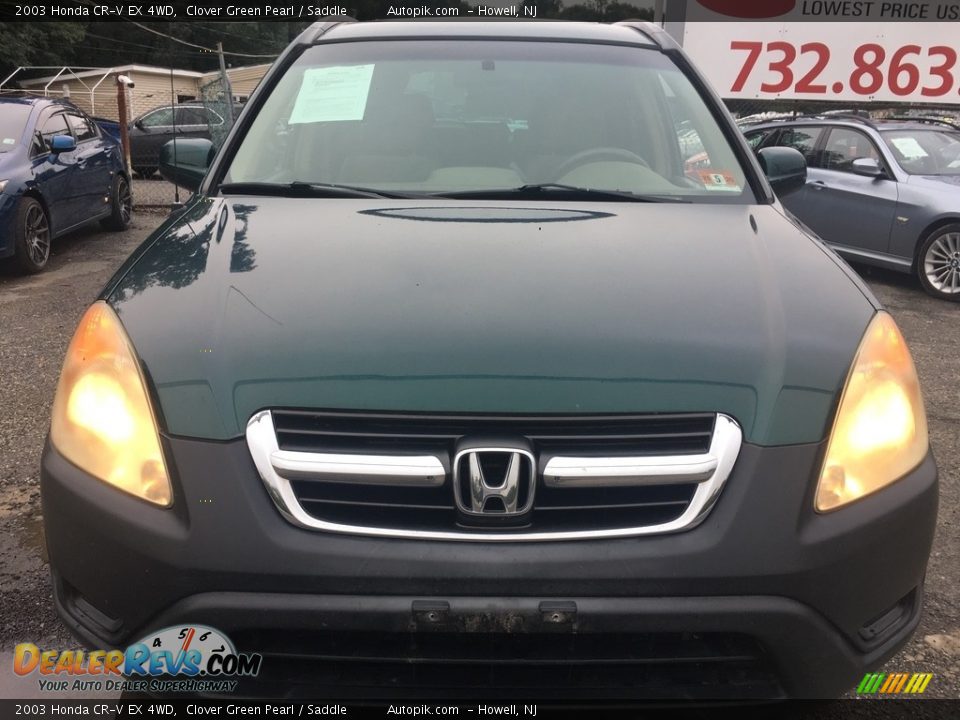 2003 Honda CR-V EX 4WD Clover Green Pearl / Saddle Photo #10