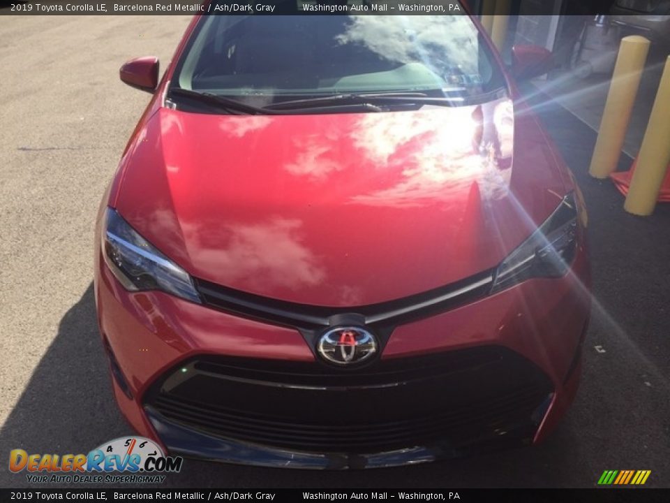 2019 Toyota Corolla LE Barcelona Red Metallic / Ash/Dark Gray Photo #8