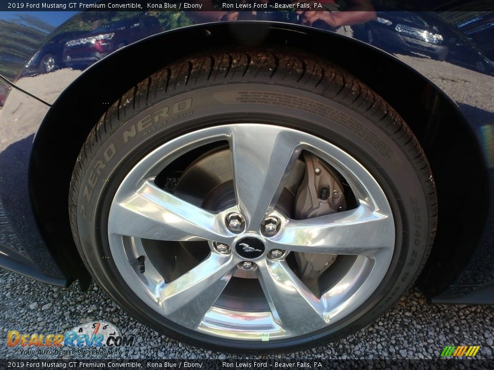 2019 Ford Mustang GT Premium Convertible Kona Blue / Ebony Photo #10
