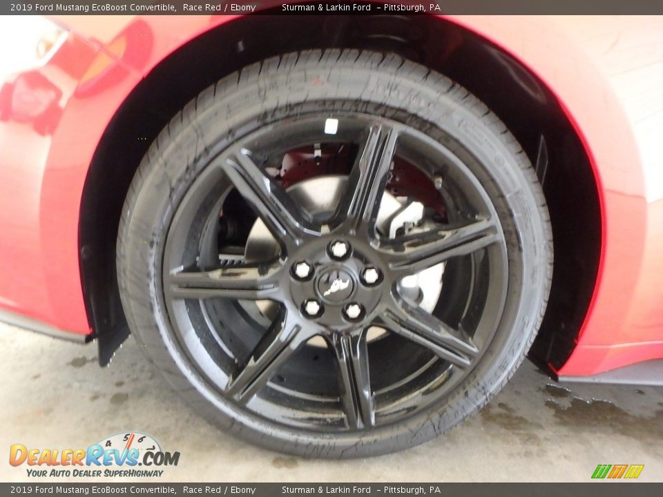 2019 Ford Mustang EcoBoost Convertible Race Red / Ebony Photo #5