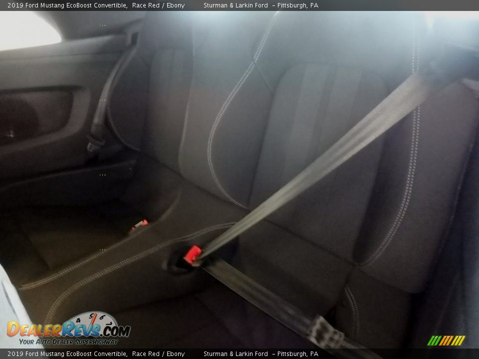 2019 Ford Mustang EcoBoost Convertible Race Red / Ebony Photo #7