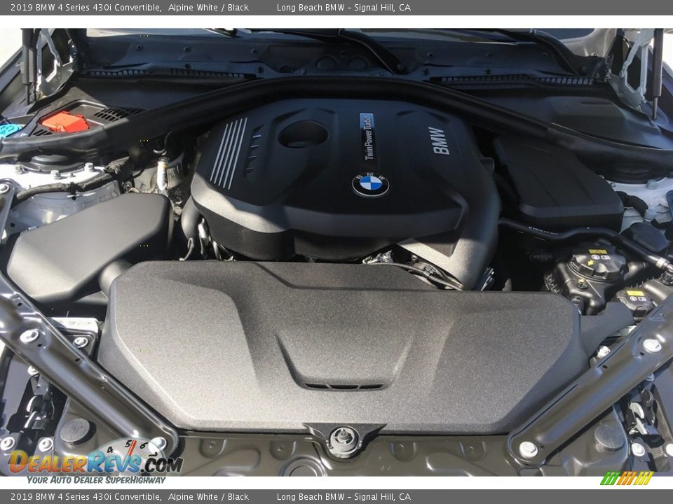 2019 BMW 4 Series 430i Convertible Alpine White / Black Photo #8