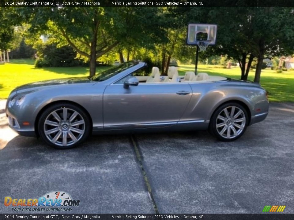 2014 Bentley Continental GTC Dove Gray / Magnolia Photo #13