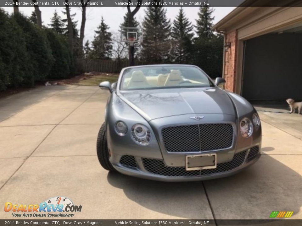 2014 Bentley Continental GTC Dove Gray / Magnolia Photo #15