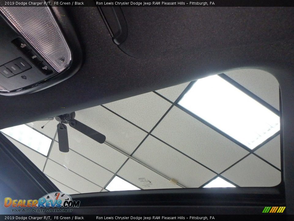 2019 Dodge Charger R/T F8 Green / Black Photo #16