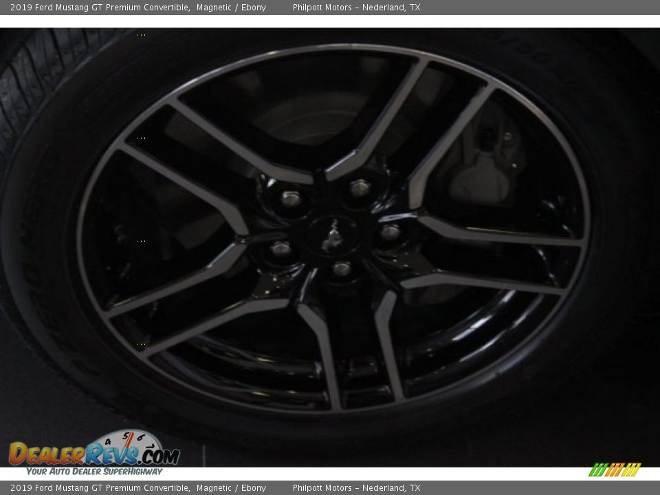 2019 Ford Mustang GT Premium Convertible Magnetic / Ebony Photo #5
