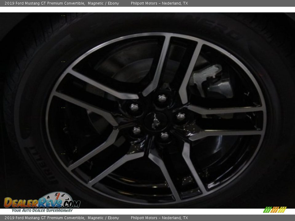 2019 Ford Mustang GT Premium Convertible Magnetic / Ebony Photo #6