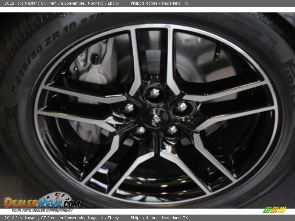 2019 Ford Mustang GT Premium Convertible Magnetic / Ebony Photo #10