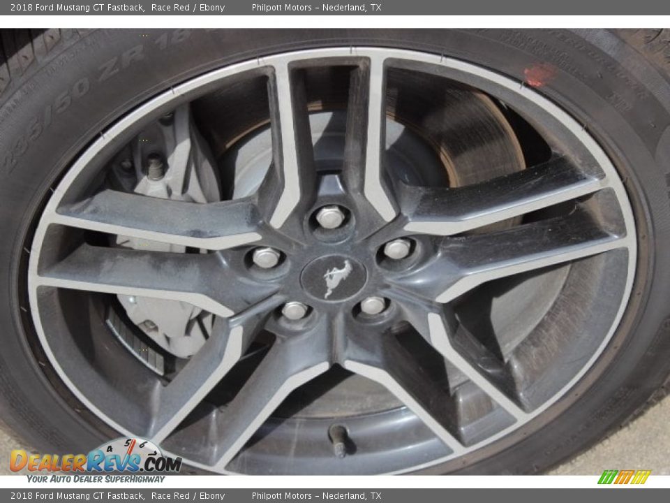 2018 Ford Mustang GT Fastback Race Red / Ebony Photo #10