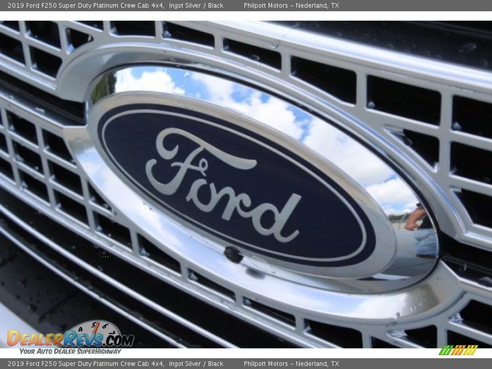 2019 Ford F250 Super Duty Platinum Crew Cab 4x4 Ingot Silver / Black Photo #4