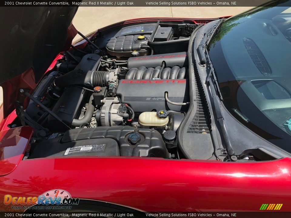 2001 Chevrolet Corvette Convertible Magnetic Red II Metallic / Light Oak Photo #21